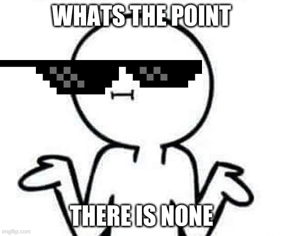 I dont know | WHATS THE POINT THERE IS NONE | image tagged in i dont know | made w/ Imgflip meme maker