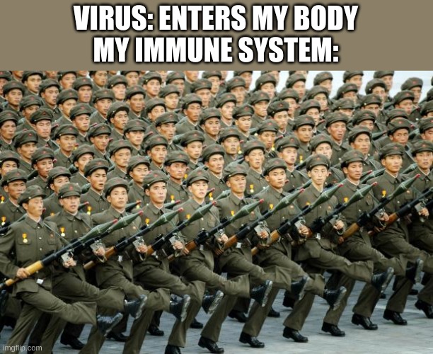 North Korean Military March | VIRUS: ENTERS MY BODY
MY IMMUNE SYSTEM: | image tagged in north korean military march | made w/ Imgflip meme maker