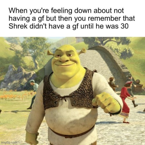 Feel Happy | image tagged in shrek,gf,life is hard,oh wow are you actually reading these tags | made w/ Imgflip meme maker