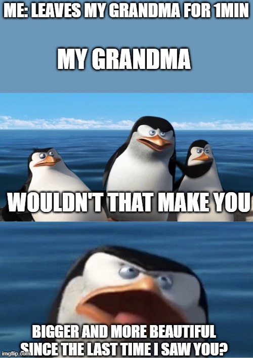 good my grandma doesn't have imgflip | ME: LEAVES MY GRANDMA FOR 1MIN; MY GRANDMA; WOULDN'T THAT MAKE YOU; BIGGER AND MORE BEAUTIFUL SINCE THE LAST TIME I SAW YOU? | image tagged in wouldn't that make you | made w/ Imgflip meme maker
