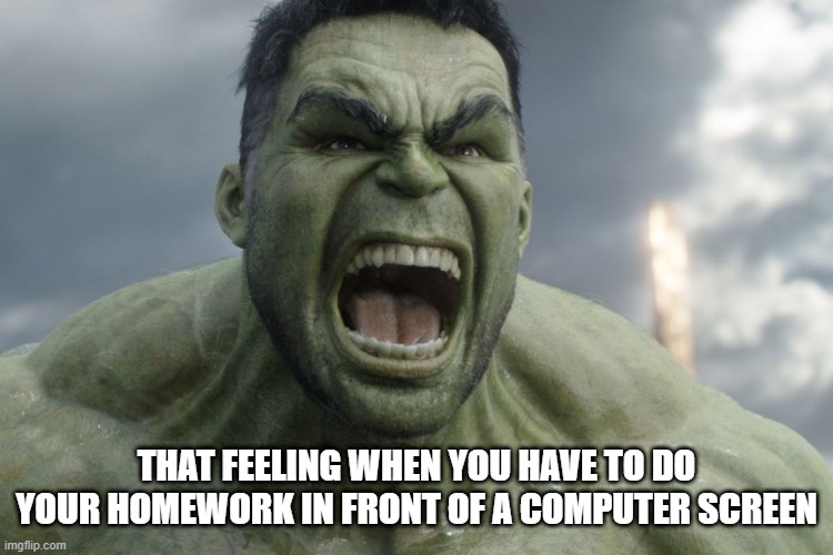 Homework Sucks | THAT FEELING WHEN YOU HAVE TO DO YOUR HOMEWORK IN FRONT OF A COMPUTER SCREEN | image tagged in raging hulk | made w/ Imgflip meme maker