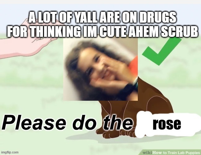 A LOT OF YALL ARE ON DRUGS FOR THINKING IM CUTE AHEM SCRUB | image tagged in please do the rose | made w/ Imgflip meme maker