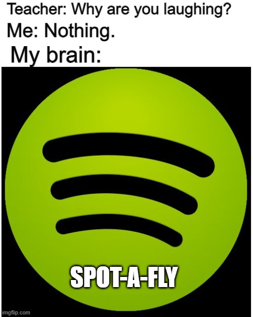 Spotafly | Teacher: Why are you laughing? Me: Nothing. My brain:; SPOT-A-FLY | image tagged in spotify,clean memes,funny,memes | made w/ Imgflip meme maker