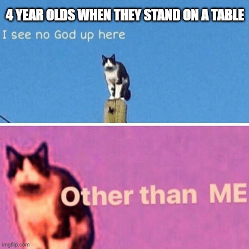 We were all like this (I hope) | 4 YEAR OLDS WHEN THEY STAND ON A TABLE | image tagged in hail pole cat,fun | made w/ Imgflip meme maker