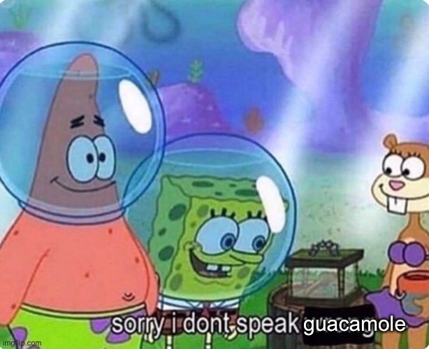 Sorry I don't speak wrong | guacamole | image tagged in sorry i don't speak wrong | made w/ Imgflip meme maker