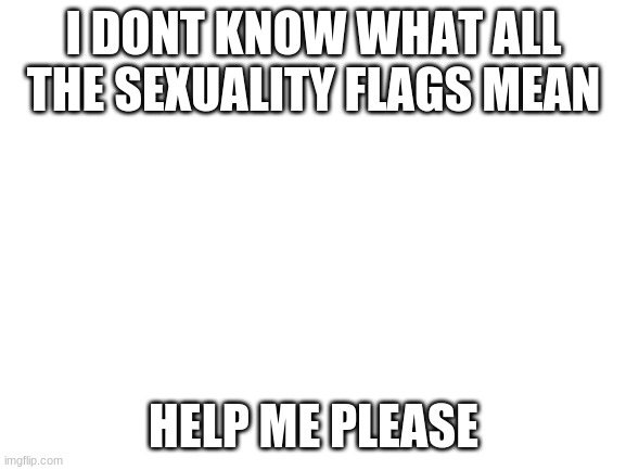 oops | I DONT KNOW WHAT ALL THE SEXUALITY FLAGS MEAN; HELP ME PLEASE | image tagged in blank white template | made w/ Imgflip meme maker