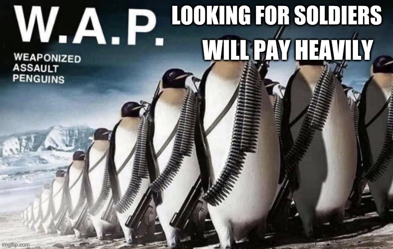 E | WILL PAY HEAVILY; LOOKING FOR SOLDIERS | image tagged in wap | made w/ Imgflip meme maker