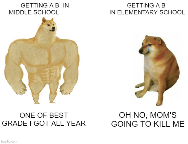 Buff Doge vs. Cheems Meme | GETTING A B- IN MIDDLE SCHOOL; GETTING A B- IN ELEMENTARY SCHOOL; ONE OF BEST GRADE I GOT ALL YEAR; OH NO, MOM'S GOING TO KILL ME | image tagged in memes,buff doge vs cheems | made w/ Imgflip meme maker