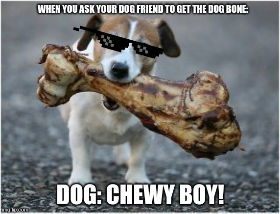 Dogs | WHEN YOU ASK YOUR DOG FRIEND TO GET THE DOG BONE:; DOG: CHEWY BOY! | image tagged in dogs,funny dogs,pets,funny,memes,funny memes | made w/ Imgflip meme maker
