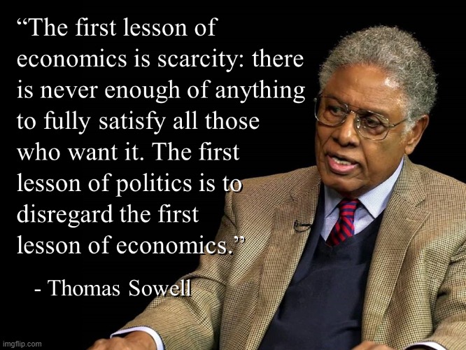 Thomas Sowell | image tagged in thomas sowell | made w/ Imgflip meme maker