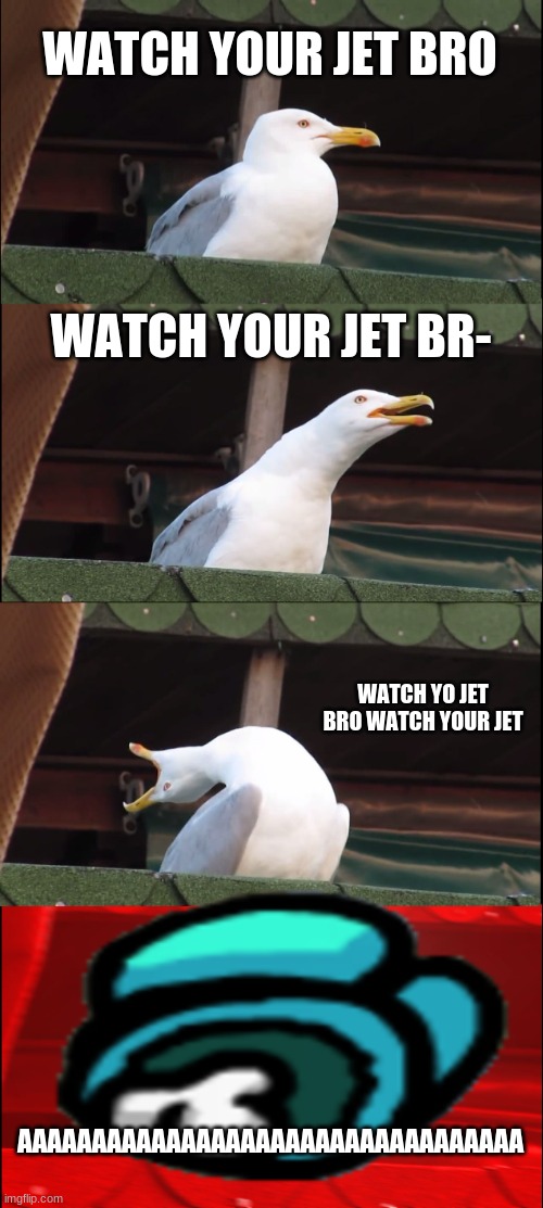 Inhaling Seagull | WATCH YOUR JET BRO; WATCH YOUR JET BR-; WATCH YO JET BRO WATCH YOUR JET; AAAAAAAAAAAAAAAAAAAAAAAAAAAAAAAAAA | image tagged in memes,inhaling seagull | made w/ Imgflip meme maker