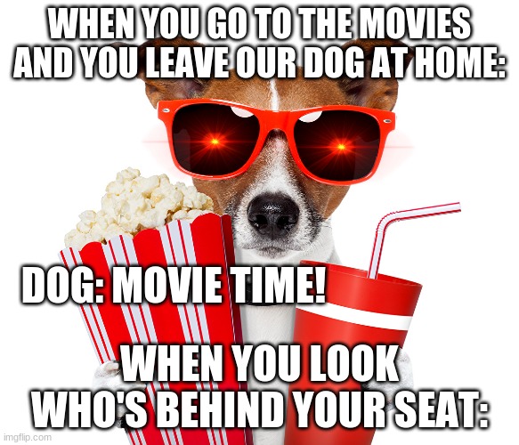 Dogs | WHEN YOU GO TO THE MOVIES AND YOU LEAVE OUR DOG AT HOME:; DOG: MOVIE TIME! WHEN YOU LOOK WHO'S BEHIND YOUR SEAT: | image tagged in memes,funny memes,dogs,funny,funny dogs,pets | made w/ Imgflip meme maker