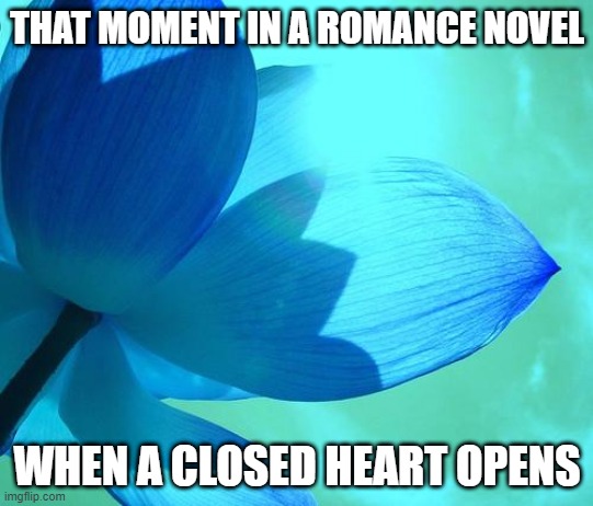 blue flower | THAT MOMENT IN A ROMANCE NOVEL; WHEN A CLOSED HEART OPENS | image tagged in blue flower | made w/ Imgflip meme maker