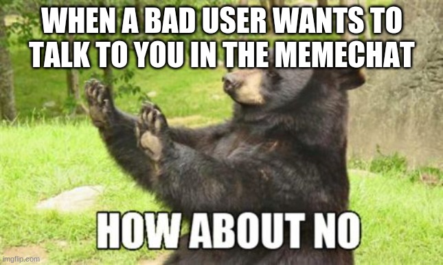 Yo.... | WHEN A BAD USER WANTS TO TALK TO YOU IN THE MEMECHAT | image tagged in memes,how about no bear | made w/ Imgflip meme maker