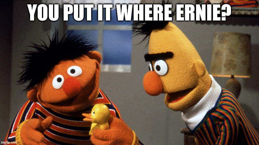 Ernie and Bert discuss Rubber Duckie | YOU PUT IT WHERE ERNIE? | image tagged in ernie and bert discuss rubber duckie | made w/ Imgflip meme maker