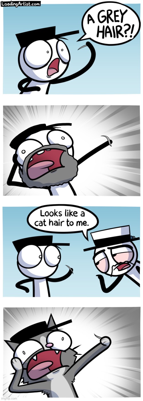 How did he turn into a cat? | image tagged in memes,funny,comics,loading artist,cats,hair | made w/ Imgflip meme maker