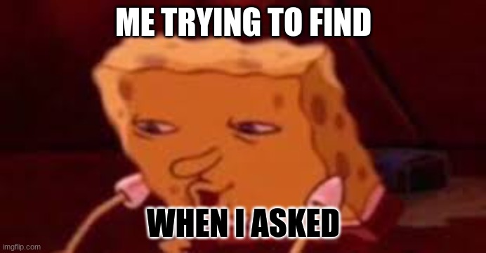 ME TRYING TO FIND; WHEN I ASKED | image tagged in funny,spongebob,roast,blind | made w/ Imgflip meme maker