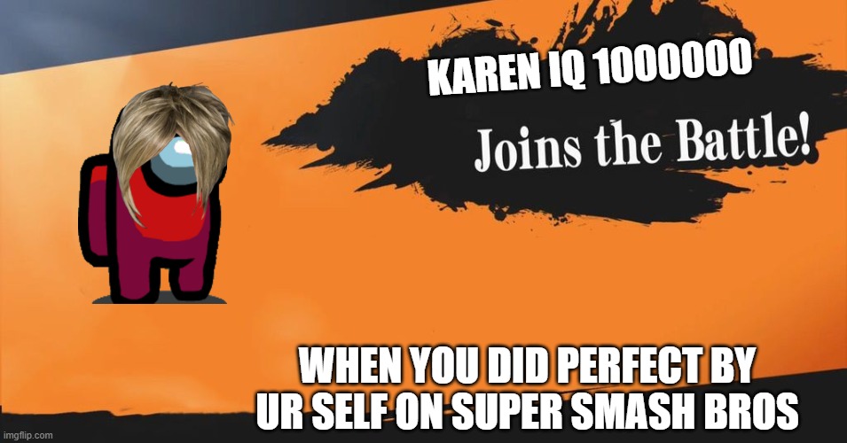 Smash Bros. | KAREN IQ 1000000; WHEN YOU DID PERFECT BY UR SELF ON SUPER SMASH BROS | image tagged in smash bros | made w/ Imgflip meme maker