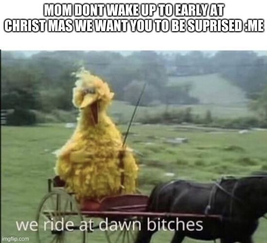 We ride at dawn bitches | MOM DONT WAKE UP TO EARLY AT CHRIST MAS WE WANT YOU TO BE SUPRISED :ME | image tagged in we ride at dawn bitches | made w/ Imgflip meme maker