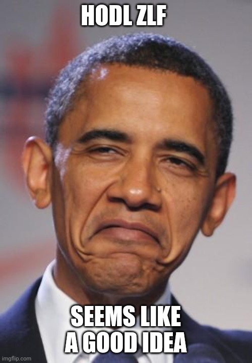 obamas funny face |  HODL ZLF; SEEMS LIKE A GOOD IDEA | image tagged in obamas funny face | made w/ Imgflip meme maker