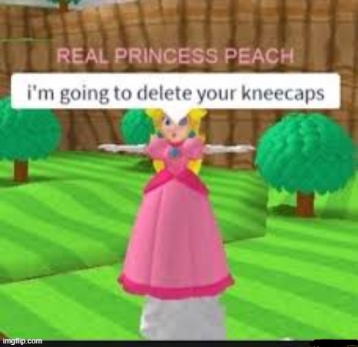 Oh noes | image tagged in mario,roblox,yes this is roblox,bet you didnt see a robox tab coming did ya | made w/ Imgflip meme maker