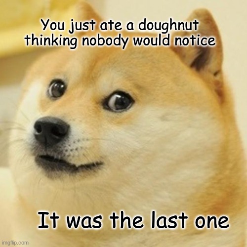 Doge doughnut | You just ate a doughnut thinking nobody would notice; It was the last one | image tagged in memes,doge | made w/ Imgflip meme maker