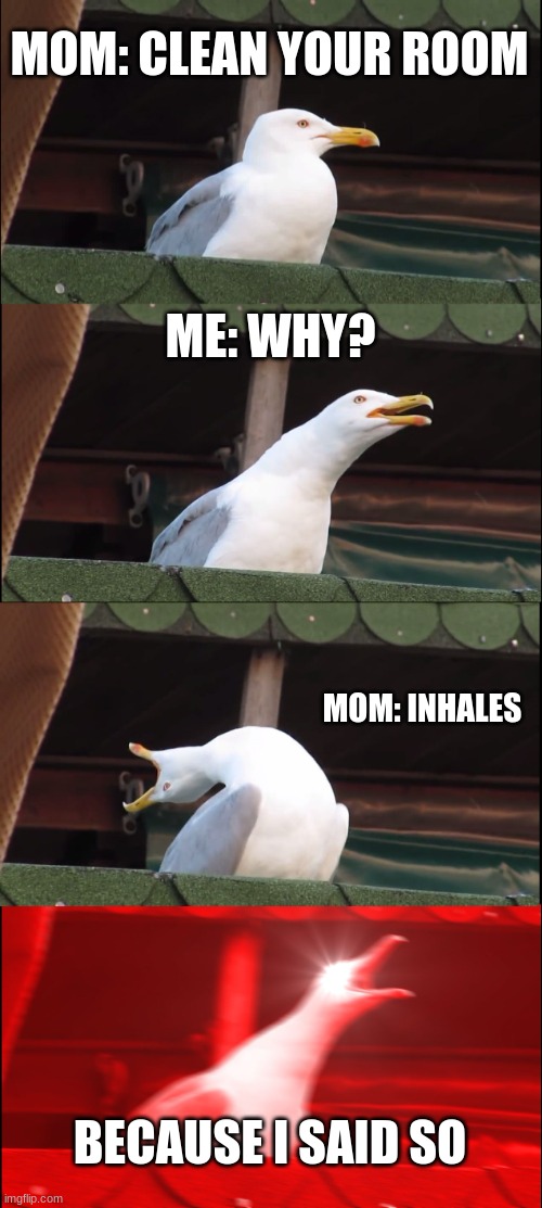 Inhaling Seagull | MOM: CLEAN YOUR ROOM; ME: WHY? MOM: INHALES; BECAUSE I SAID SO | image tagged in memes,inhaling seagull | made w/ Imgflip meme maker