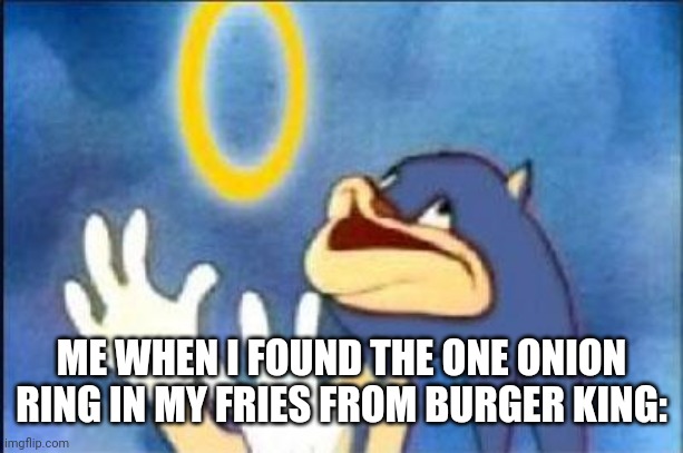 Guess it's my lucky day |  ME WHEN I FOUND THE ONE ONION RING IN MY FRIES FROM BURGER KING: | image tagged in sonic derp,memes,fun,imgflip | made w/ Imgflip meme maker