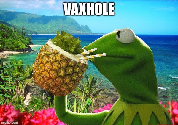 vacation kermit | VAXHOLE | image tagged in vacation kermit | made w/ Imgflip meme maker