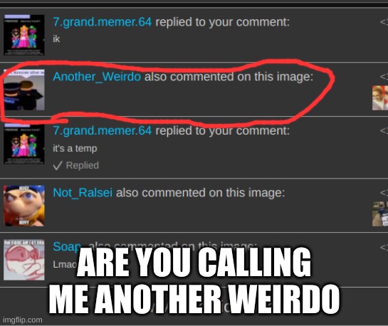 ARE YOU CALLING ME ANOTHER WEIRDO | image tagged in inanimate insanity | made w/ Imgflip meme maker