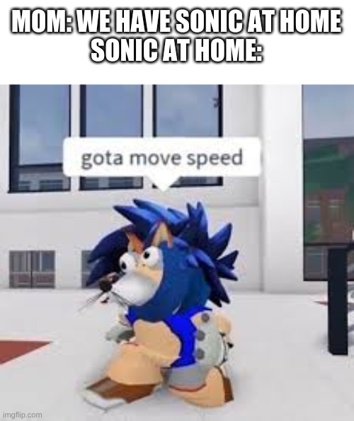 hmmm. | MOM: WE HAVE SONIC AT HOME
SONIC AT HOME: | image tagged in memes,funny,roblox,cursed image,sonic the hedgehog | made w/ Imgflip meme maker