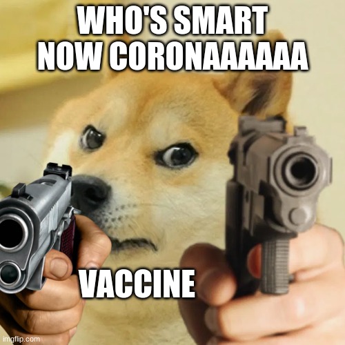 Angry doge | WHO'S SMART NOW CORONAAAAAA; VACCINE | image tagged in angry doge | made w/ Imgflip meme maker