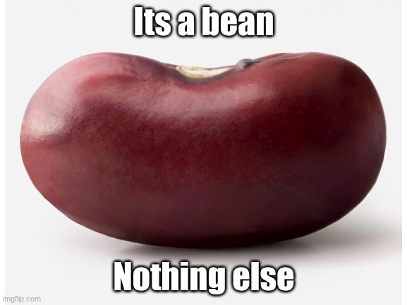 B e a n | Its a bean; Nothing else | image tagged in beans | made w/ Imgflip meme maker