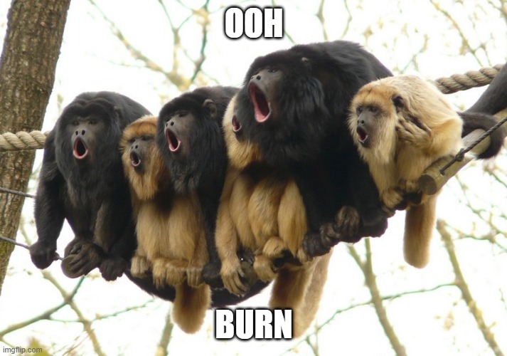 Howler Monkeys | OOH BURN | image tagged in howler monkeys | made w/ Imgflip meme maker