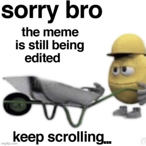 sorry bro | ... | image tagged in memes | made w/ Imgflip meme maker