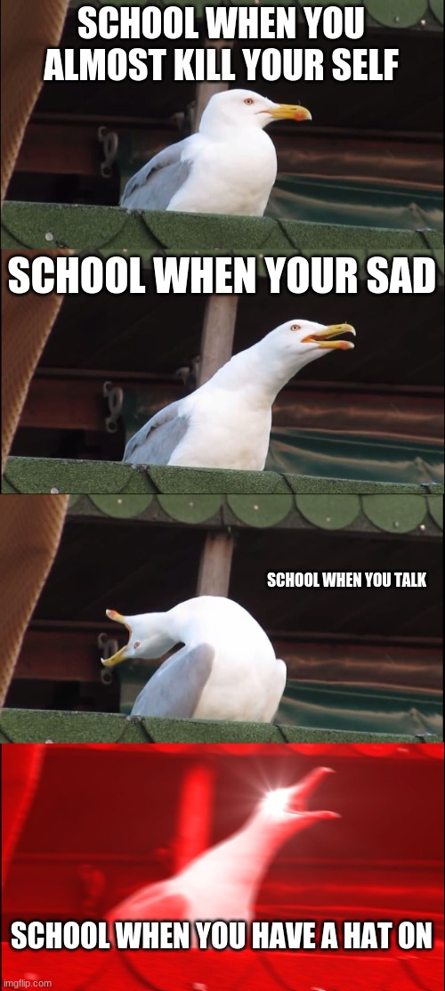 Inhaling Seagull Meme | SCHOOL WHEN YOU ALMOST KILL YOUR SELF; SCHOOL WHEN YOUR SAD; SCHOOL WHEN YOU TALK; SCHOOL WHEN YOU HAVE A HAT ON | image tagged in memes,inhaling seagull | made w/ Imgflip meme maker