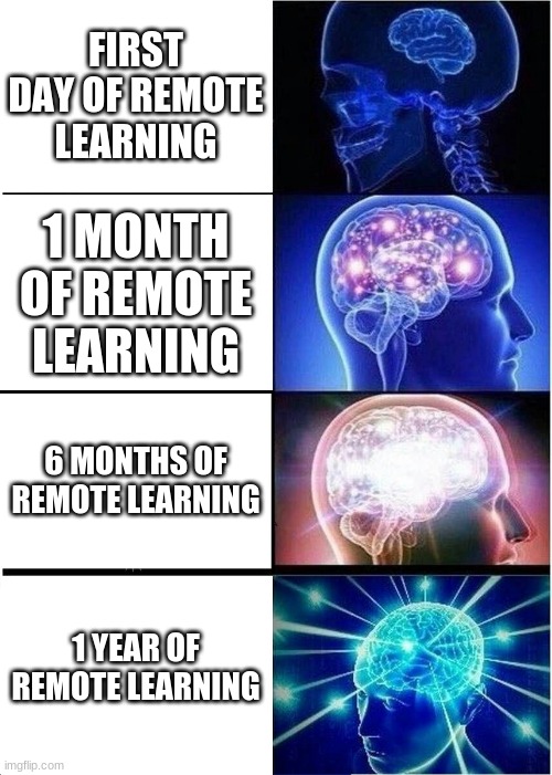 Expanding Brain | FIRST DAY OF REMOTE LEARNING; 1 MONTH OF REMOTE LEARNING; 6 MONTHS OF REMOTE LEARNING; 1 YEAR OF REMOTE LEARNING | image tagged in memes,expanding brain | made w/ Imgflip meme maker