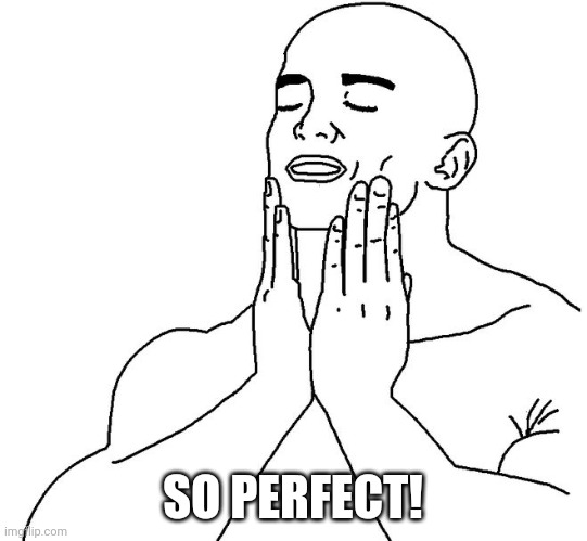 Satisfaction | SO PERFECT! | image tagged in satisfaction | made w/ Imgflip meme maker