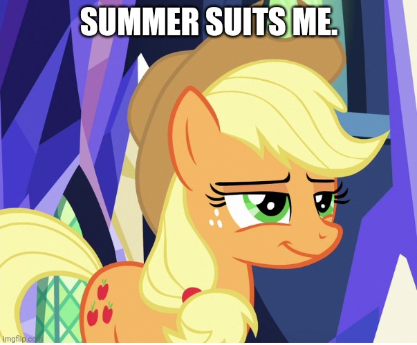SUMMER SUITS ME. | made w/ Imgflip meme maker
