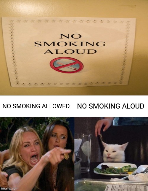 No smoking aloud | NO SMOKING ALOUD; NO SMOKING ALLOWED | image tagged in memes,woman yelling at cat,no smoking,funny,you had one job,task failed successfully | made w/ Imgflip meme maker