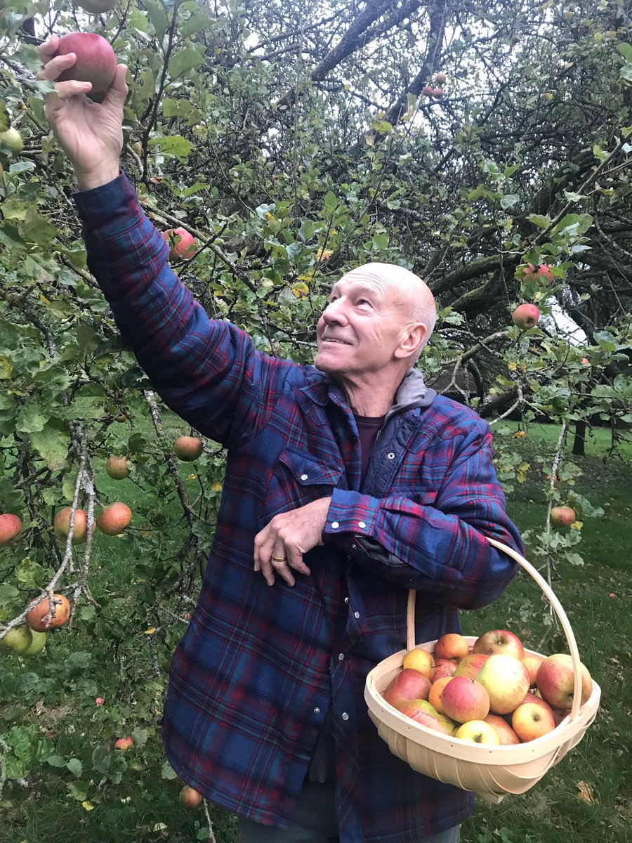 Patrick Stewart picking apples Blank Meme Template