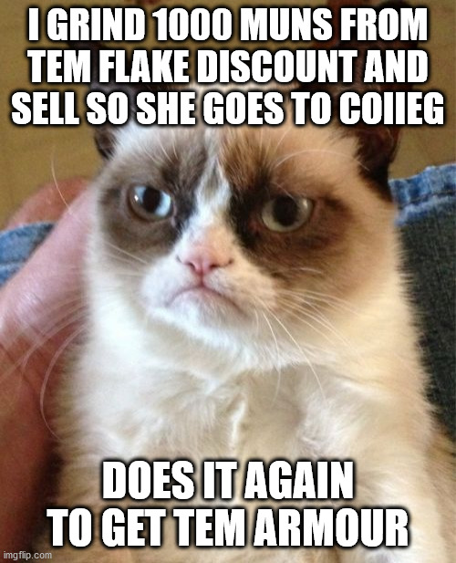 i dont have a life anymore | I GRIND 1000 MUNS FROM TEM FLAKE DISCOUNT AND SELL SO SHE GOES TO COIIEG; DOES IT AGAIN TO GET TEM ARMOUR | image tagged in memes,grumpy cat | made w/ Imgflip meme maker