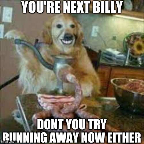 You're next Billy | YOU'RE NEXT BILLY; DONT YOU TRY RUNNING AWAY NOW EITHER | image tagged in you're next,meme | made w/ Imgflip meme maker