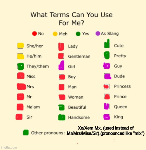 Pronouns Sheet | Xe/Xem Mx. (used instead of Mr/Mrs/Miss/Sir) (pronounced like "mix") | image tagged in pronouns sheet | made w/ Imgflip meme maker