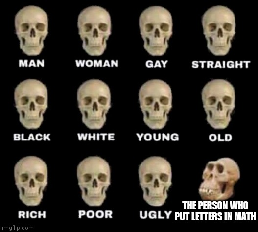 Lol | THE PERSON WHO PUT LETTERS IN MATH | image tagged in man woman gay straight skull | made w/ Imgflip meme maker