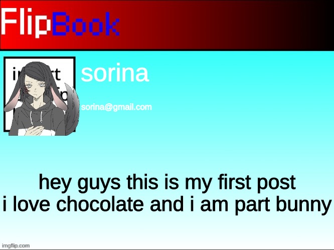 FlipBook profile | sorina; sorina@gmail.com; hey guys this is my first post i love chocolate and i am part bunny | image tagged in flipbook profile | made w/ Imgflip meme maker