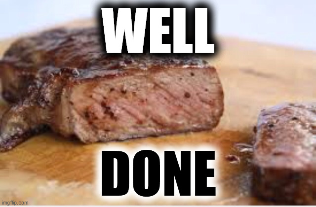 WELL DONE | WELL DONE | image tagged in well done | made w/ Imgflip meme maker