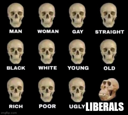 Liberals | LIBERALS | image tagged in man woman gay straight skull,lol,libtard,haha tags go type type | made w/ Imgflip meme maker