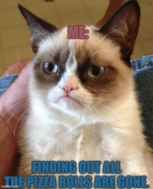 Grumpy Cat | ME:; FINDING OUT ALL THE PIZZA ROLLS ARE GONE. | image tagged in memes,grumpy cat | made w/ Imgflip meme maker