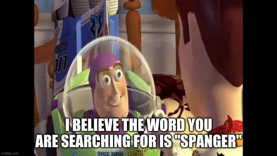 spanger | I BELIEVE THE WORD YOU ARE SEARCHING FOR IS "SPANGER" | image tagged in memes | made w/ Imgflip meme maker